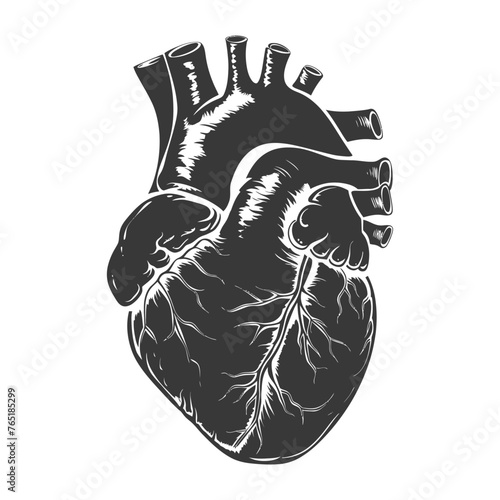 Silhouette for internal organs of heart black color only