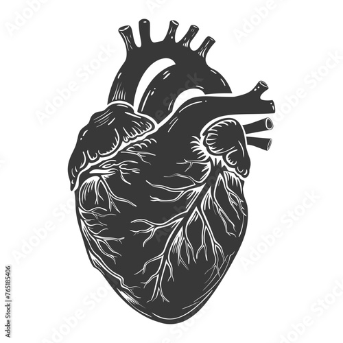 Silhouette for internal organs of heart black color only
