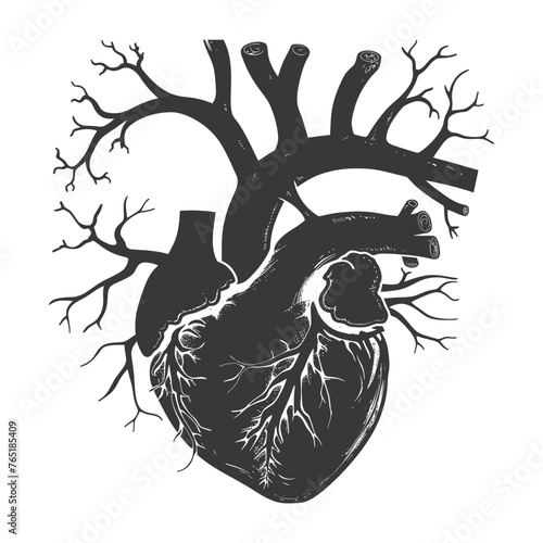 Silhouette for internal organs of heart black color only