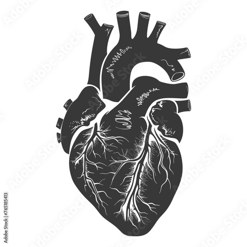 Silhouette for internal organs of heart black color only