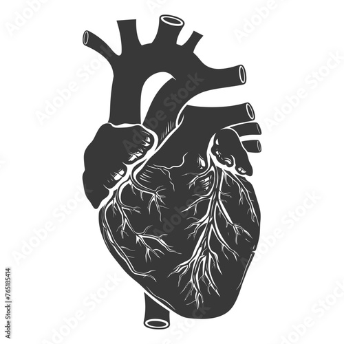 Silhouette for internal organs of heart black color only