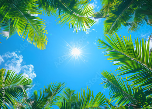 Sunlight filtering through vibrant palm leaves in a clear sky © ChaoticDesignStudio