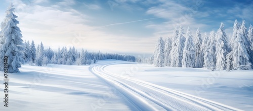 Snowy road in forest with visible tracks © Ilgun