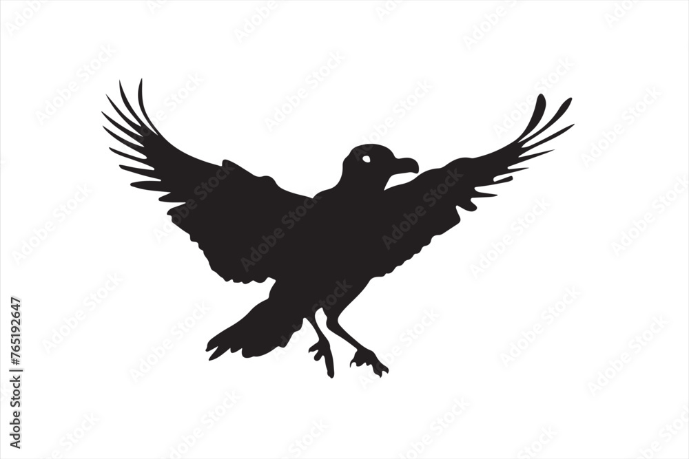 Obraz premium silhouette of bird