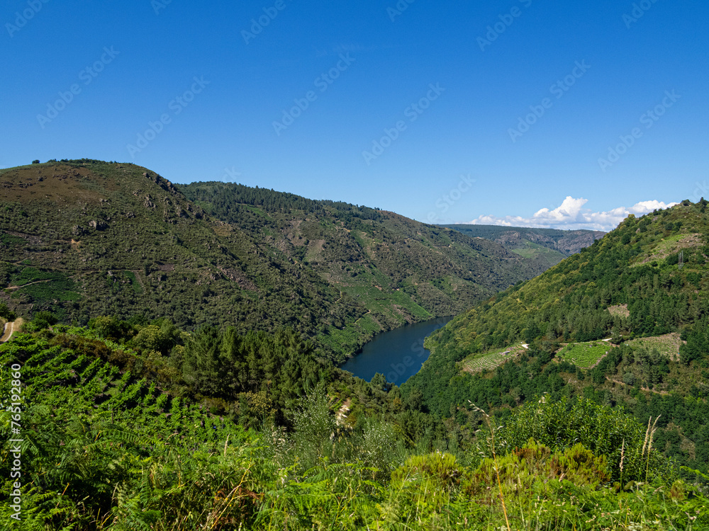 Vista del paisaje natural del río Sil rodeado de acantilados sembrados de viñedos verdes, con cielo azul en verano de 2021 Galicia, España.