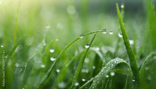 Close-up of dew drops on green grass with blur and glowing on backdrop. Spring season.