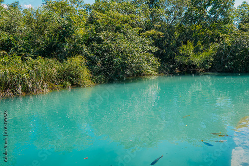 Partial view of the Formoso River, in the municipal resort, in Bonito, in Mato Grosso do Sul. The city is one of the main ecotourism destinations in Brazil © Rafael Henrique