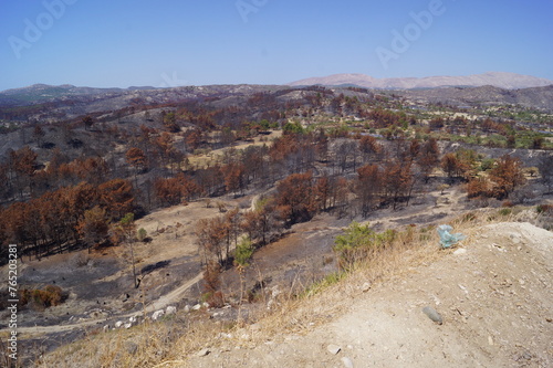 Aerial view of the burnt land and vegetation in the island of Rhodes, Greece, after the wildfires in July 2023