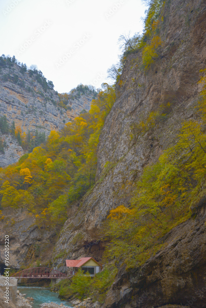 Scenic view of trees and river in the mountains in autumn