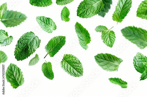 The image features a white background with a pattern of falling green leaves.