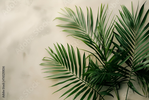  Spa Banner Concept with Palm Leaves © Aliyah
