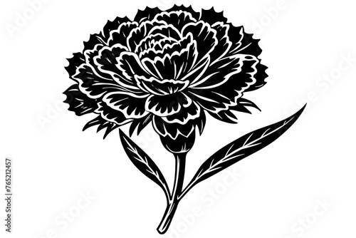 Carnation Flower silhouette  vector art illustration