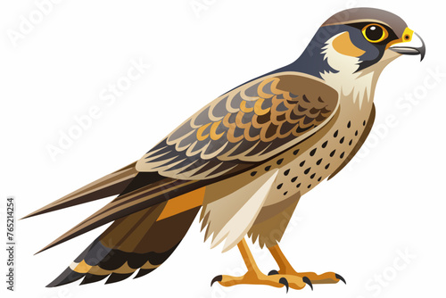  falcon full body high detail vector 