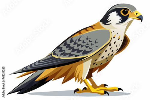  falcon full body high detail vector 