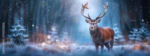 Red deer stag in winter forest. Noble deer male. Banner with beautiful animal in the nature habitat. Wildlife scene from the wild nature landscape. Wallpaper, Christmas background © JovialFox