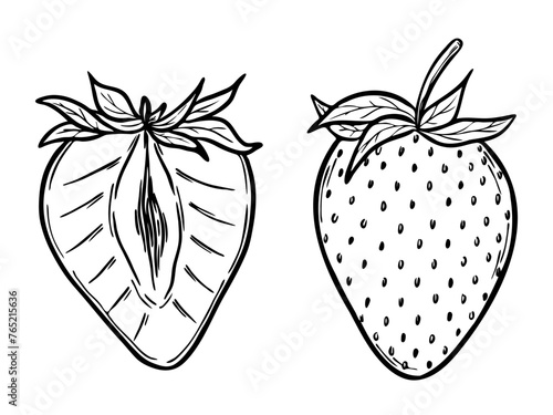 Vector strawberries set, line art drawing, hand drawn botanical outline illustration. Summer fruit monochrome drawing. Isolated design elements for coloring book page, background, pattern, packaging.