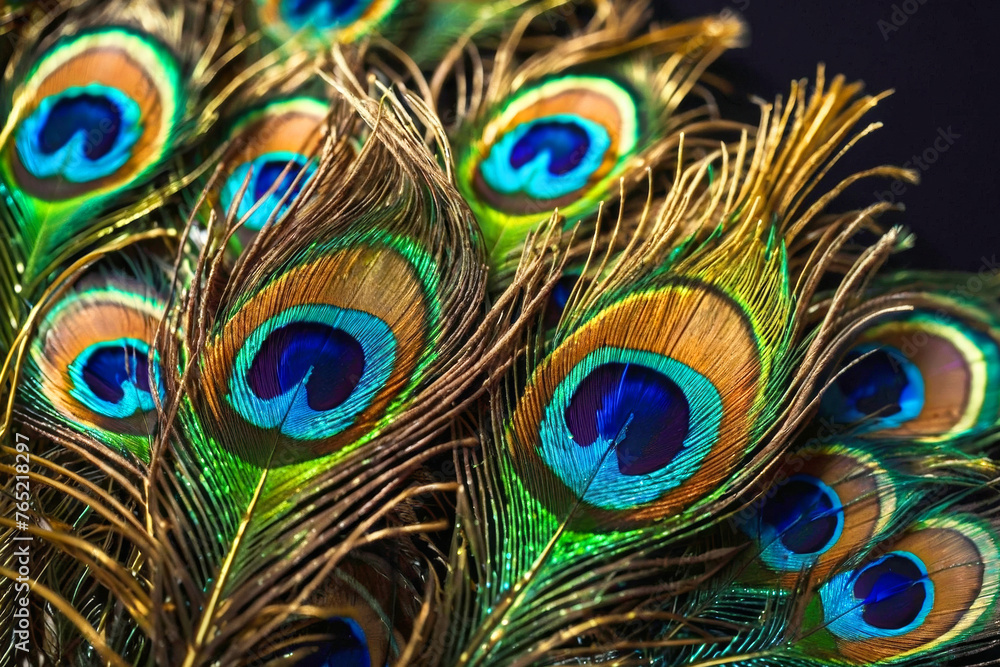 Fototapeta premium A close up of a beautiful peacock's feathers, showcasing their vibrant colors and intricate patterns. The feathers are displayed in various shades of blue, green, and gold