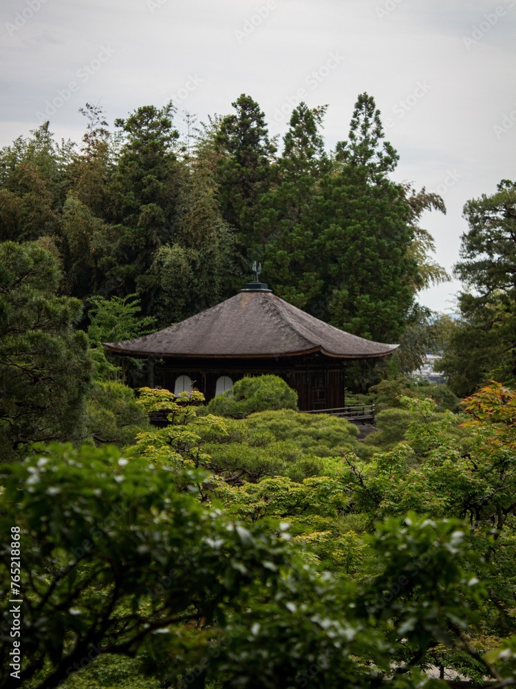 Japanese temple in the forest