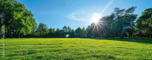A wide grassy field surrounded by trees at a sunny day photo