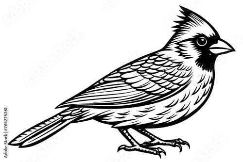 Cardinal bird silhouette vector art illustration