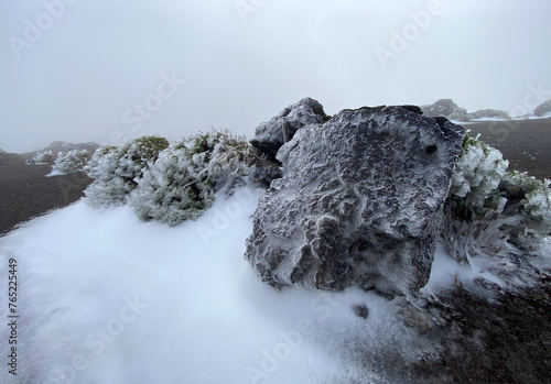 Lava stones covered by layer of an ice, together with a mountain plants. Cold snowy morning in Teide National Park. Tenerife, Canary Islands,Spain. Travel concept.