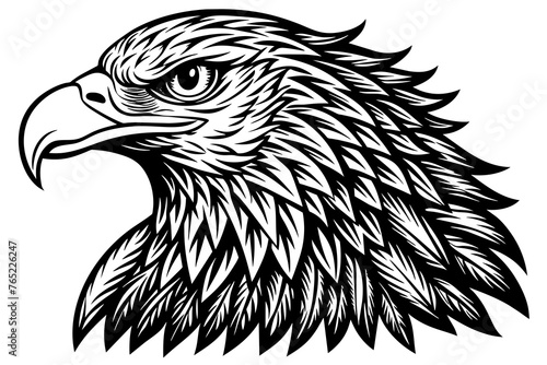 Hawk bird silhouette  vector art illustration