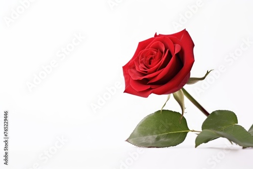Elegant red rose with leaves against a pure white backdrop  symbolizing love and romance. Single Red Rose Isolated on White Background