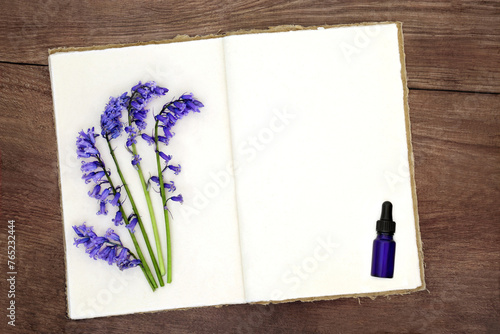 Bluebell flowers used in naturopathic herbal medicine with old hemp notebook and blue tincture bottle on rustic wood background. Floral nature study of British species.