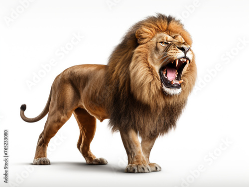 A majestic lion roaring isolated on white background cutout сreated with Generative Ai