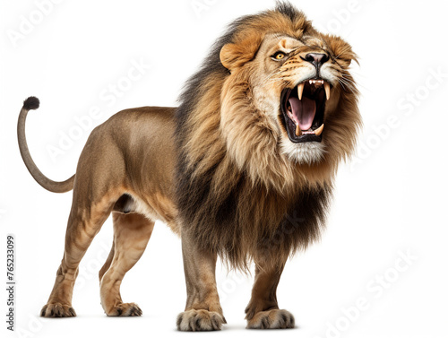 A majestic lion roaring isolated on white background cutout   reated with Generative Ai