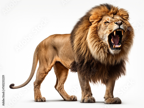 A majestic lion roaring isolated on white background cutout сreated with Generative Ai © Andrii Yablonskyi