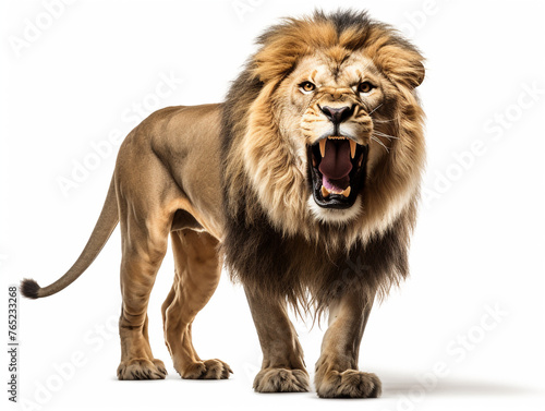 A majestic lion roaring isolated on white background cutout сreated with Generative Ai © Andrii Yablonskyi