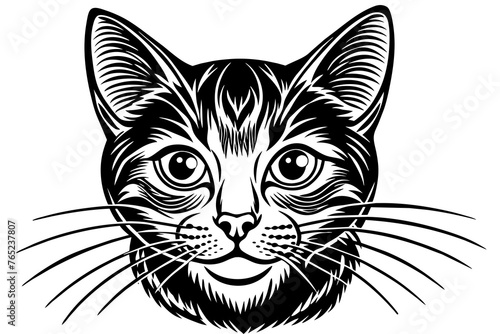 Cat silhouette vector art illustration