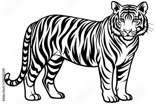 tiger silhouette  vector art illustration © Moriom
