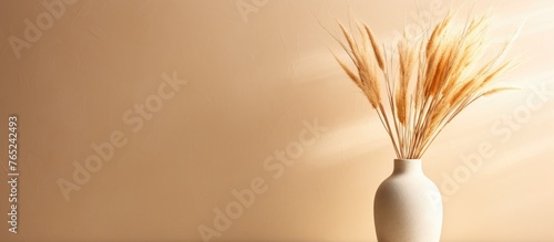 There is a white vase containing brown ornamental grass placed inside it