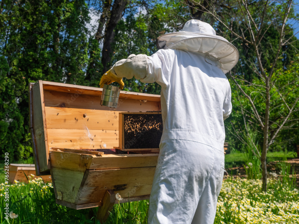 Beekeeper Installs Bee Package in Top Bar Hive