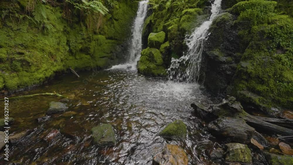 Slowly looking up into forest trees with beautiful waterfall flowing Slowly looking up into forest trees with beautiful waterfall flowing