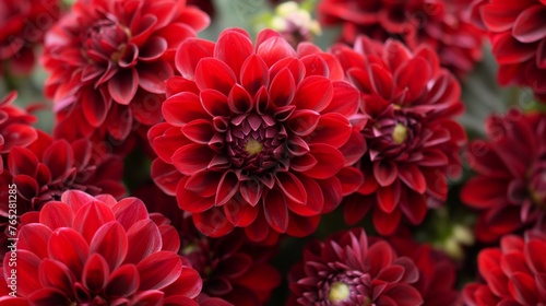 A romantic arrangement of deep red dahlias, symbolizing love and commitment