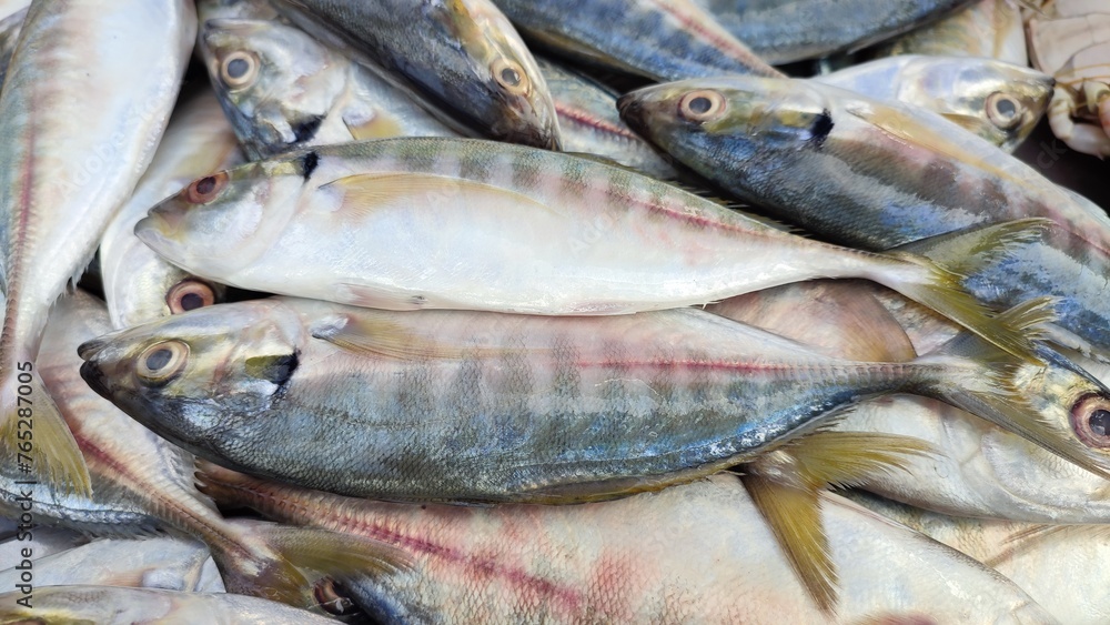 Obraz premium Stack of fish on one side