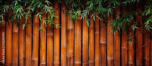 A picket fence made of bamboo with green leaves hanging from it, blending beautifully with the natural landscape. The wood stain gives it a warm touch