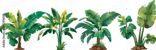 vector of Asian banana trees in various shapes