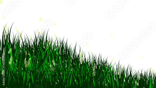 spring and summer grass meadow border, green field isolated on transparent background