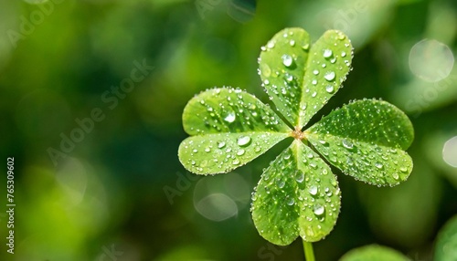 four leaf clover with dewdrops on its leaves green blurred background