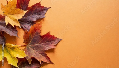 autumn orange maple leaves on orange vertical background with copy space