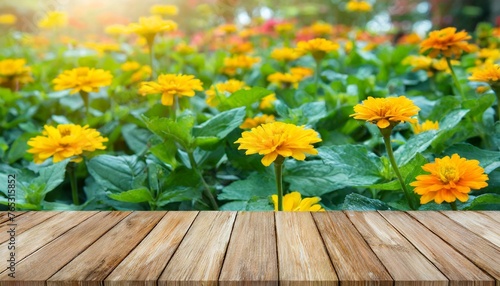morning garden flower background with wood table top for product display or design layout