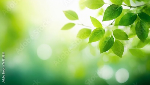 art abstract blurred beautiful spring background with fresh leaves