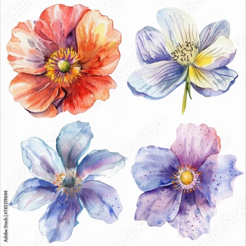 set of flowers hand drawn with watercolors