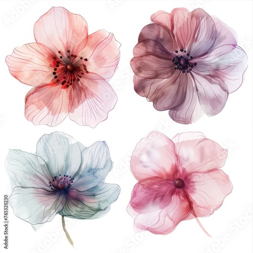 set of flowers hand drawn with watercolors © megavectors