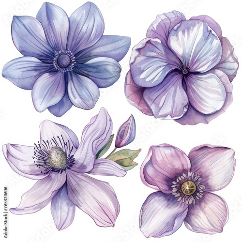 set of flowers hand drawn with watercolors