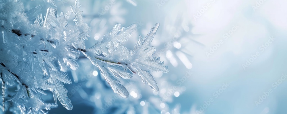 Fototapeta premium Background of frozen leaves covered with snow in winter